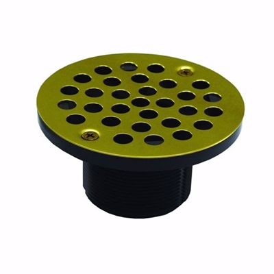 Jones Stephens 2 inch IPS Plastic Spud with 4 inch Polished Brass Round Stamped Strainer PVC D50982