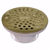 Jones Stephens 4" IPS PVC Spud with 6" Polished Brass Strainer D56308